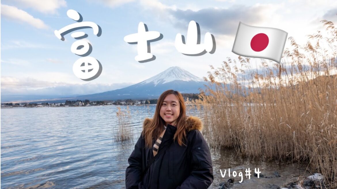Mount Fuji 富士山🇯🇵 | Say Hi to Mount Fuji🗻 [Vlog # 3] 新倉山淺間公園 大石公園