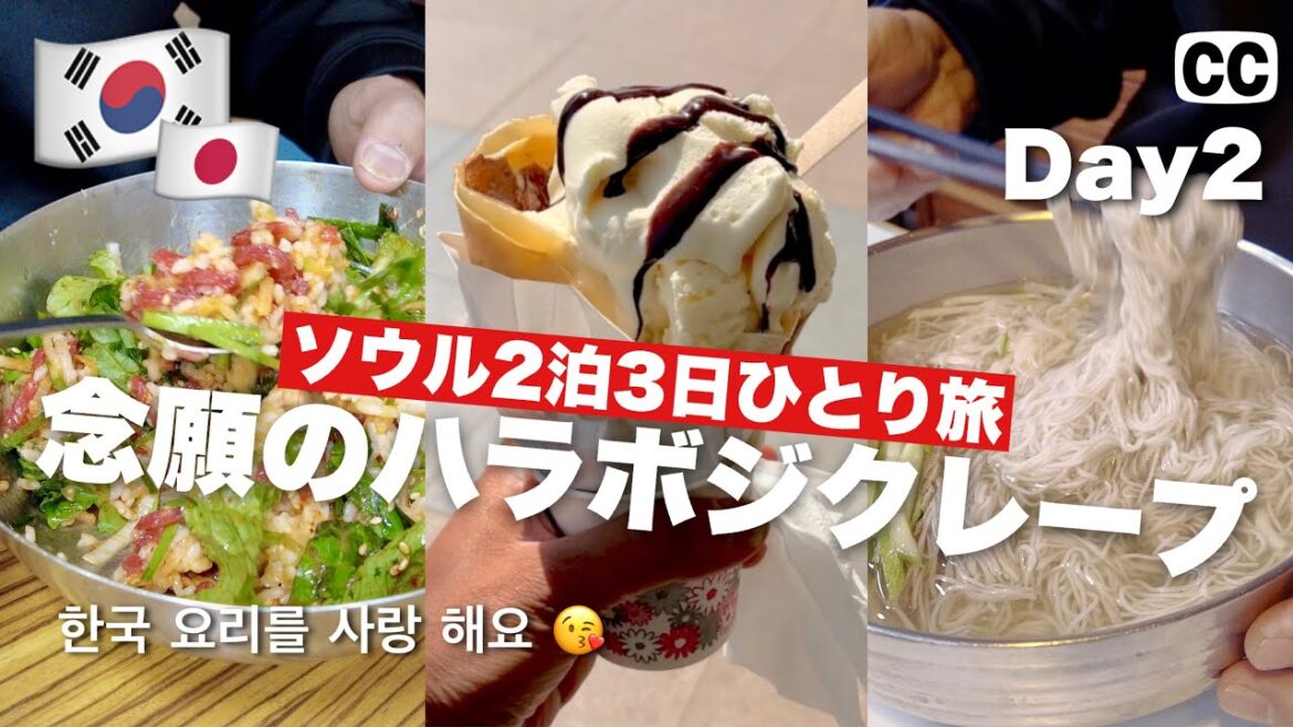 【2023 🇰🇷 韓国 ソウル 一人旅 2日目 】念願のハラボジクレープ！ホテル情報も ユッケビビンパ 冷麺 明洞  4K Vlog
