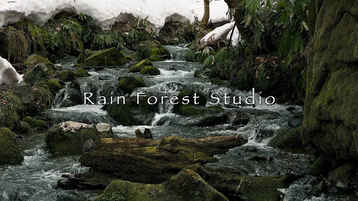 OIRASE : 奥入瀬渓流 〜 残雪の流れ  [4K]