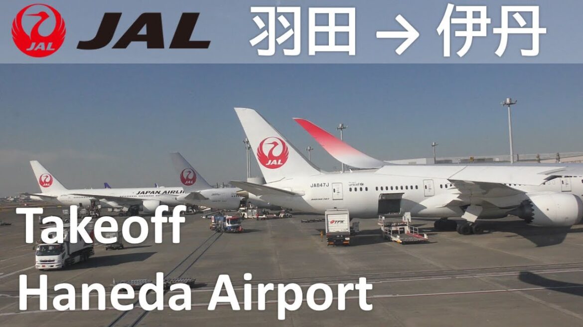 【羽田空港D滑走路離陸】JAL119便 羽田空港→大阪伊丹空港 A350-900 Haneda Airport Runway D Takeoff 【羽田空港D滑走路離陸】JAL119便 羽田空港→大阪伊丹空港 A350-900 Haneda Airport Runway D Takeoff
