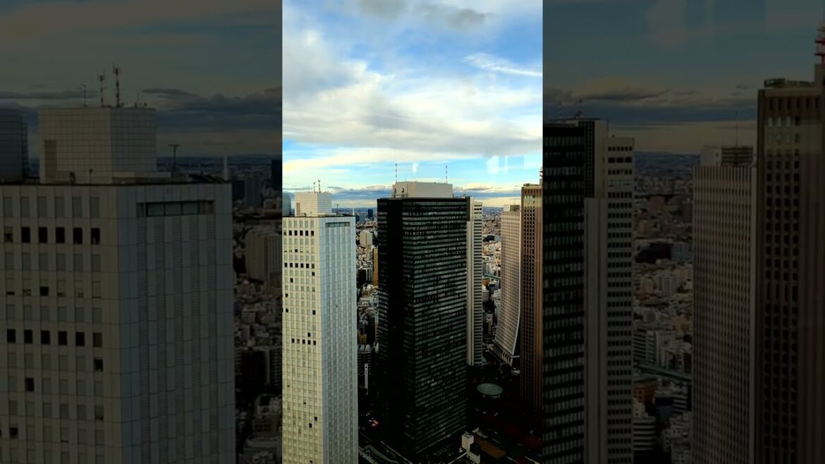 360° Panoramic View of Tokyo from the Top of Tokyo Metropolitan Government Building #shorts 360° Panoramic View of Tokyo from the Top of Tokyo Metropolitan Government Building #shorts