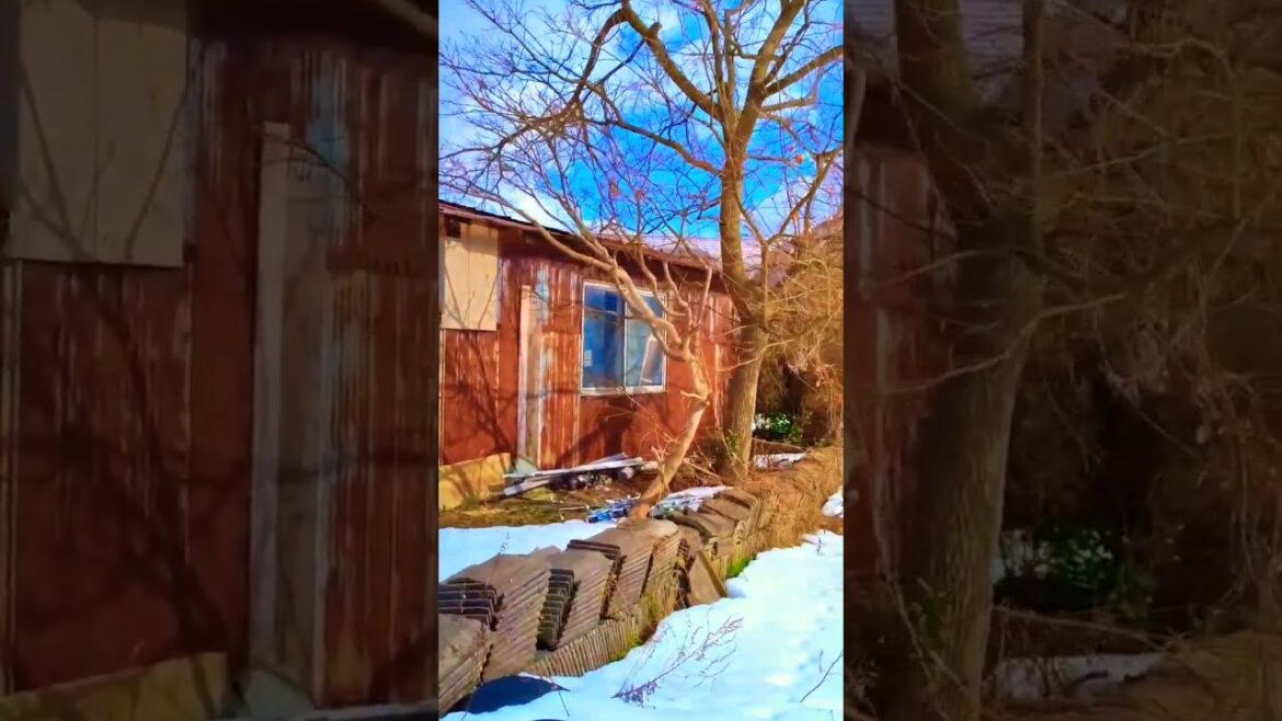 Rusty shack and old Roof Tiles in the Snow #japan #walking #niigata