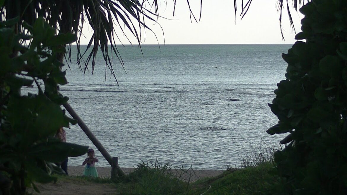 沖縄旅行　 DAY1 OKINAWA TRIP