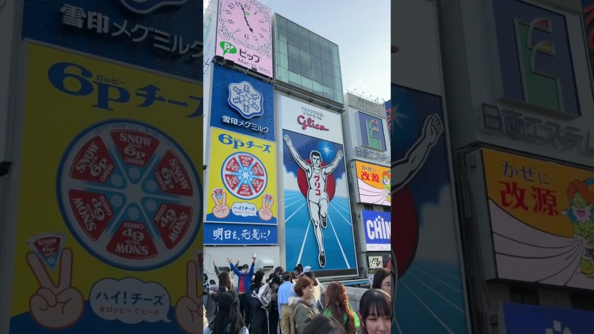 Dotonbori View. #japan #travel #osaka #dotonbori #amazingjapan #thingstodo #shorts #trending #anime