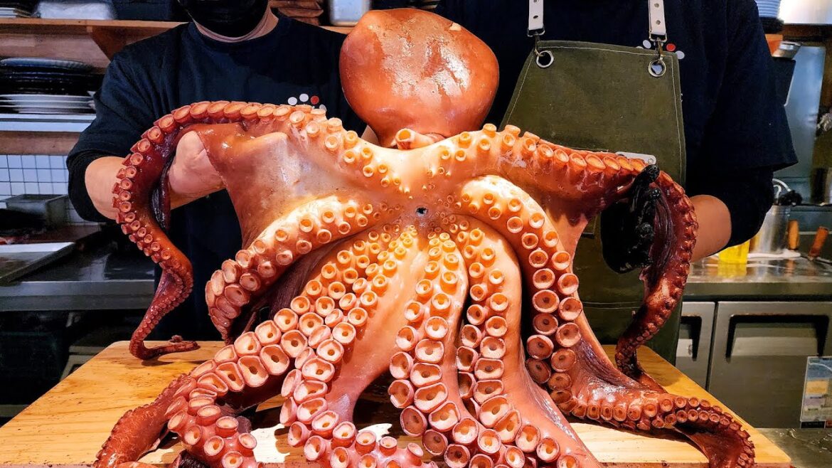 연 매출 20억, 역대급 생선회, 16kg대왕 문어, 참치, 연어, 도미, Amazing Seafood Sashimi, Giant Octopus, Fish Fillet skills 연 매출 20억, 역대급 생선회, 16kg대왕 문어, 참치, 연어, 도미, Amazing Seafood Sashimi, Giant Octopus, Fish Fillet skills