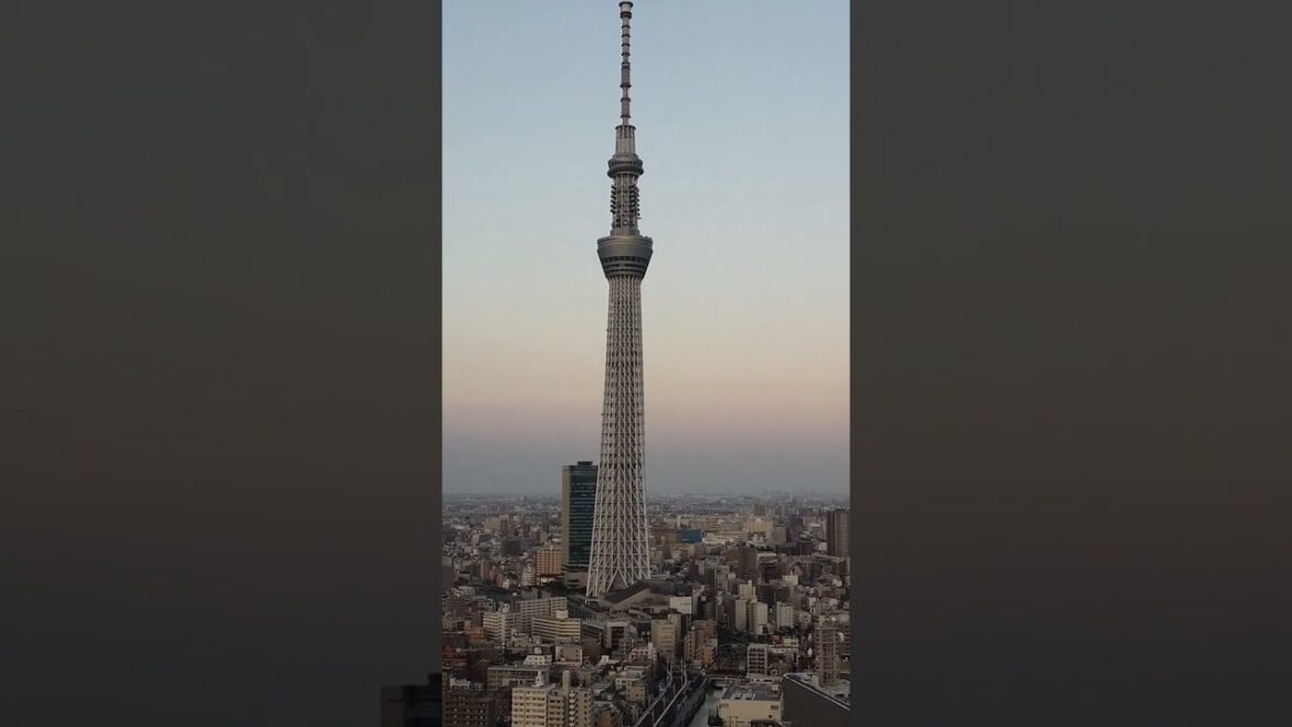 Top Travel Destinations 2023 | Japan #travelvlog #dailyvlog #travel #2023 #TheGlobalTourist Top Travel Destinations 2023 | Japan #travelvlog #dailyvlog #travel #2023 #TheGlobalTourist