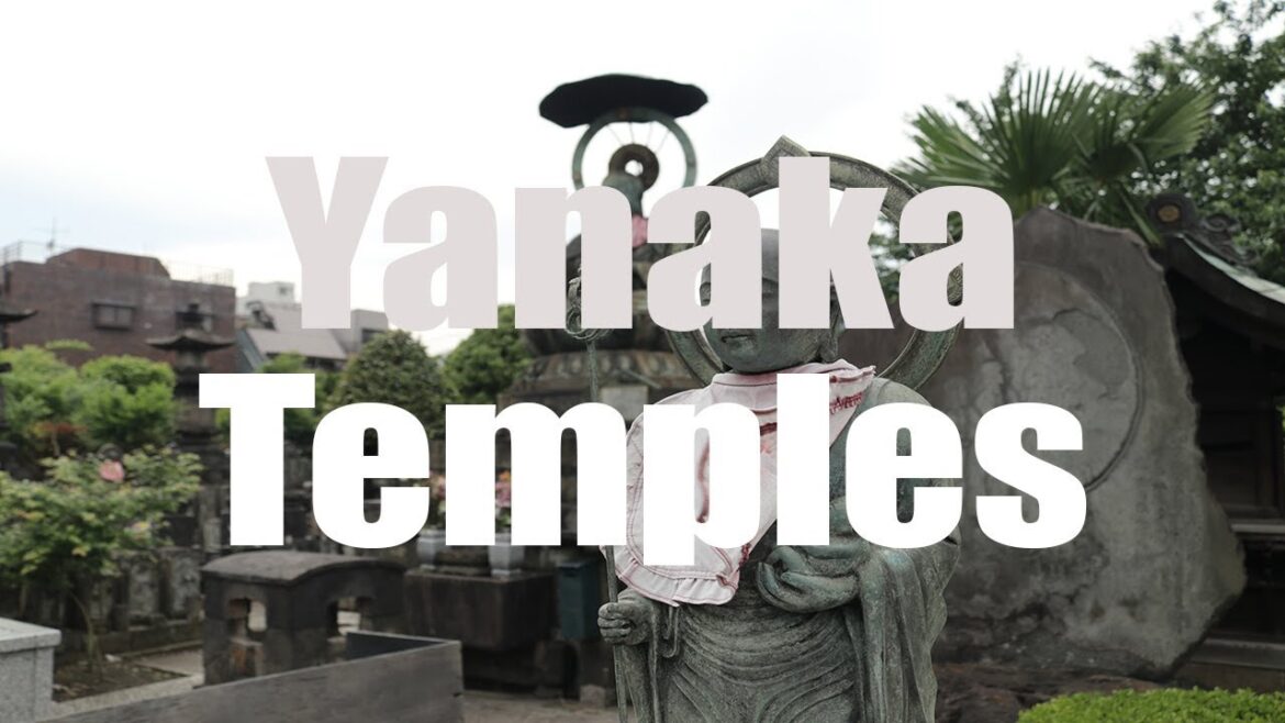 Yanaka Temples, Tokyo, Japan, 谷中  | Canon 80D | Virtual Trip