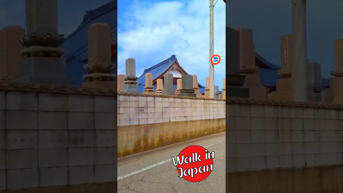 Temple Roof Line #japan #shorts