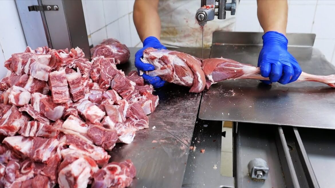 Indian Food - GOAT CURRY AND MUTTON KEBABS Sapphire Cuisines of India NYC