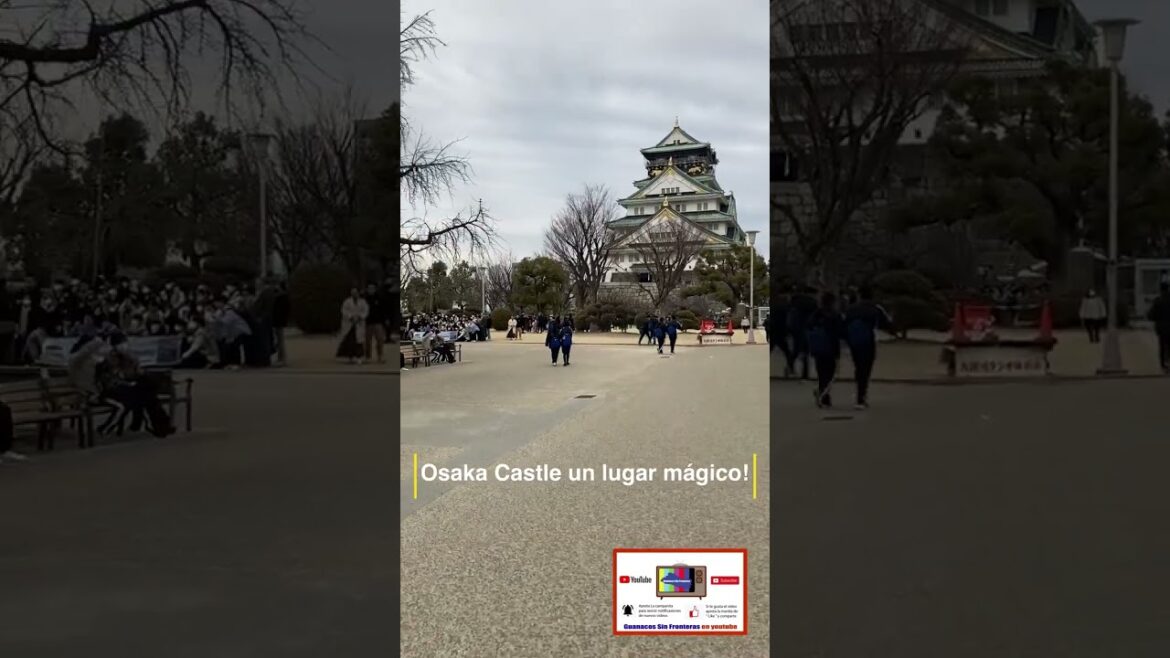 Osaka Castle es mágico!