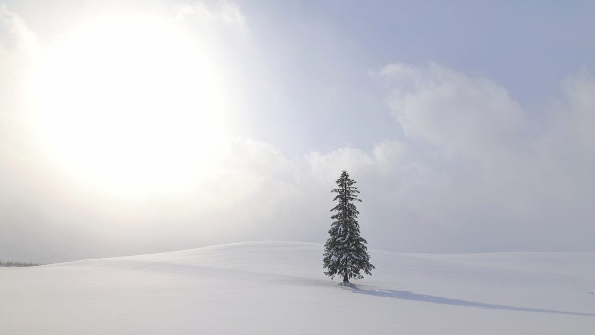 (映像旅行) 大雪山下的隱世靜謐in日本北海道旭川、美瑛(第3集) feat.緩慢北海道民宿 (映像旅行) 大雪山下的隱世靜謐in日本北海道旭川、美瑛(第3集) feat.緩慢北海道民宿