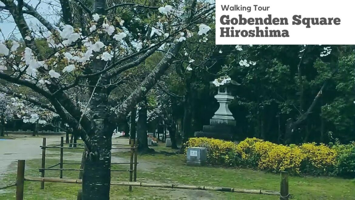 Beautiful spring walk with cherry blossom views at sakura garden of the Gobenden Square, Hiroshima