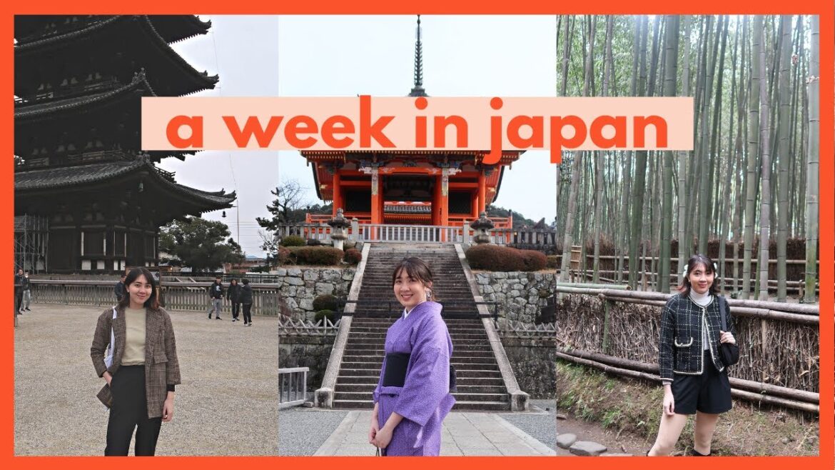 A week in Japan | Hey Prai