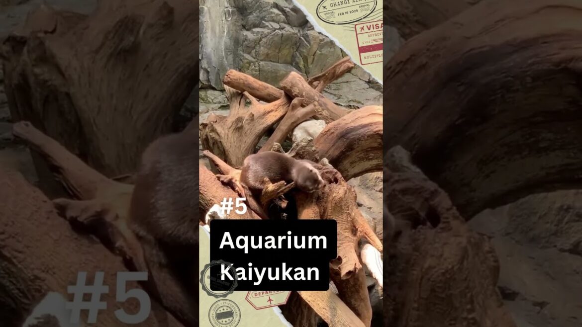 Top 10 Tourist Spots in Osaka, Japan 2023! #shorts