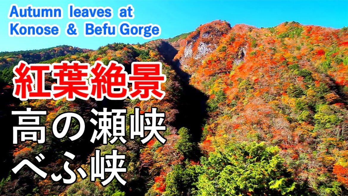 高の瀬峡・べふ峡の紅葉絶景！ 四国の紅葉名所 / Autumn leaves at Konose and Befu Gorge ( Shikoku Japan )【日本の紅葉絶景！】 [ 4K ]