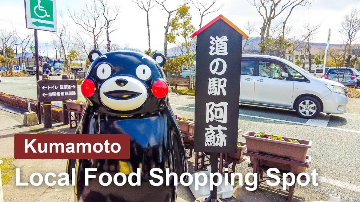 【Kumamoto 💖】Walk Japan - Aso Local Shopping Spot Michi-no-eki【4K】오사카 โอซาก้า