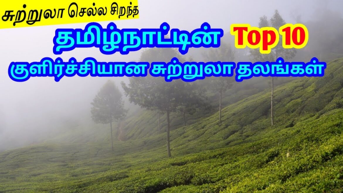 Top 10 Cooling Tourist Places in Tamilnadu | தமிழ்நாட்டின் Top 10 சுற்றுலா தலங்கள் TamilTouristGuide Top 10 Cooling Tourist Places in Tamilnadu | தமிழ்நாட்டின் Top 10 சுற்றுலா தலங்கள் TamilTouristGuide