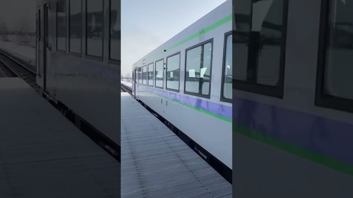 【富良野観光物語】JR富良野線朝の鹿討駅にて　#鉄道 #鉄道風景 #jr北海道 #ローカル線 #列車 #furano #hokkaido #travel #shorts #旅行