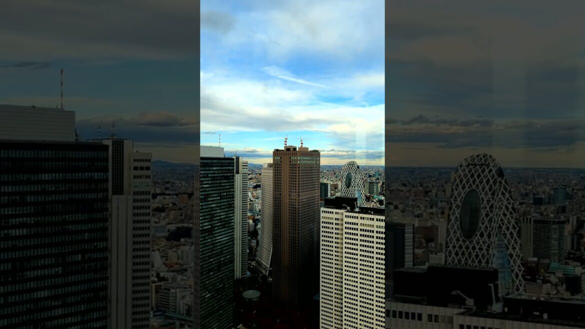 Aerial View Tokyo Cityscape from Tokyo Metropolitan Government Office Observation Deck #shorts Aerial View Tokyo Cityscape from Tokyo Metropolitan Government Office Observation Deck #shorts