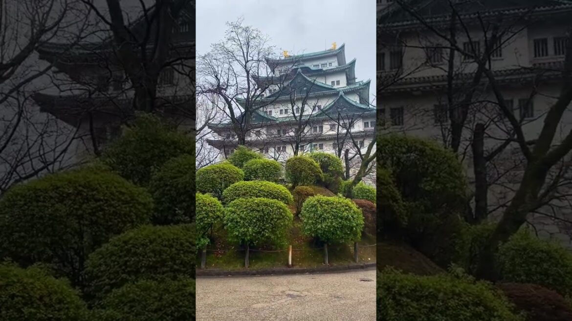 Nagoya castle. Japan Nagoya castle. Japan