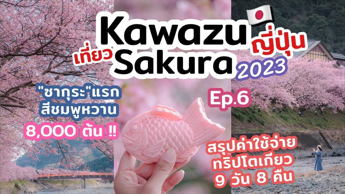 เที่ยวญี่ปุ่น Kawazu Sakura พิกัดชมซากุระสวยใกล้โตเกียว ซากุระสีชมพูสวยสดใส | เที่ยวแล้วเที่ยวอีก เที่ยวญี่ปุ่น Kawazu Sakura พิกัดชมซากุระสวยใกล้โตเกียว ซากุระสีชมพูสวยสดใส | เที่ยวแล้วเที่ยวอีก
