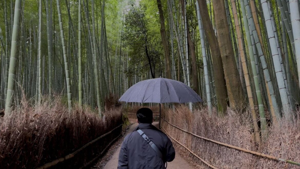 The Best Hotel For Visiting The Bamboo Forest In Japan