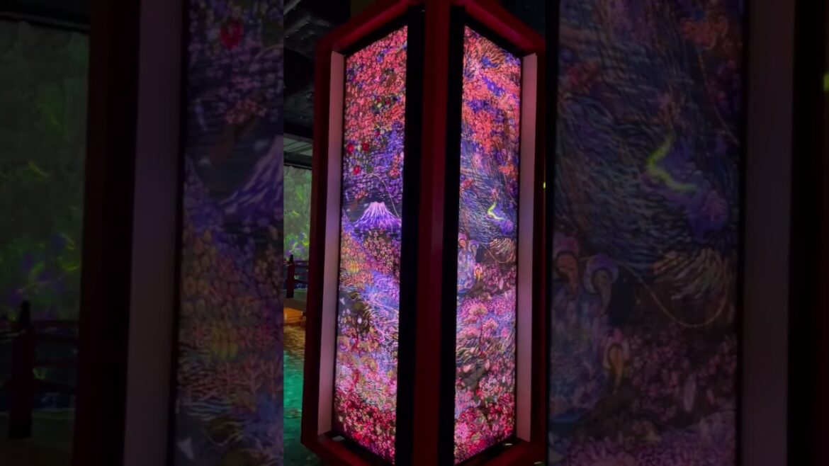 新感覚の観光スポット🐠アートと水族館の融合に癒された✨ #shorts