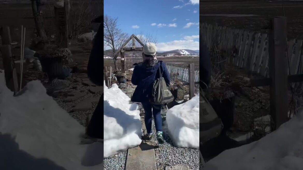 cold but warm place in Japan. Hokkaido.