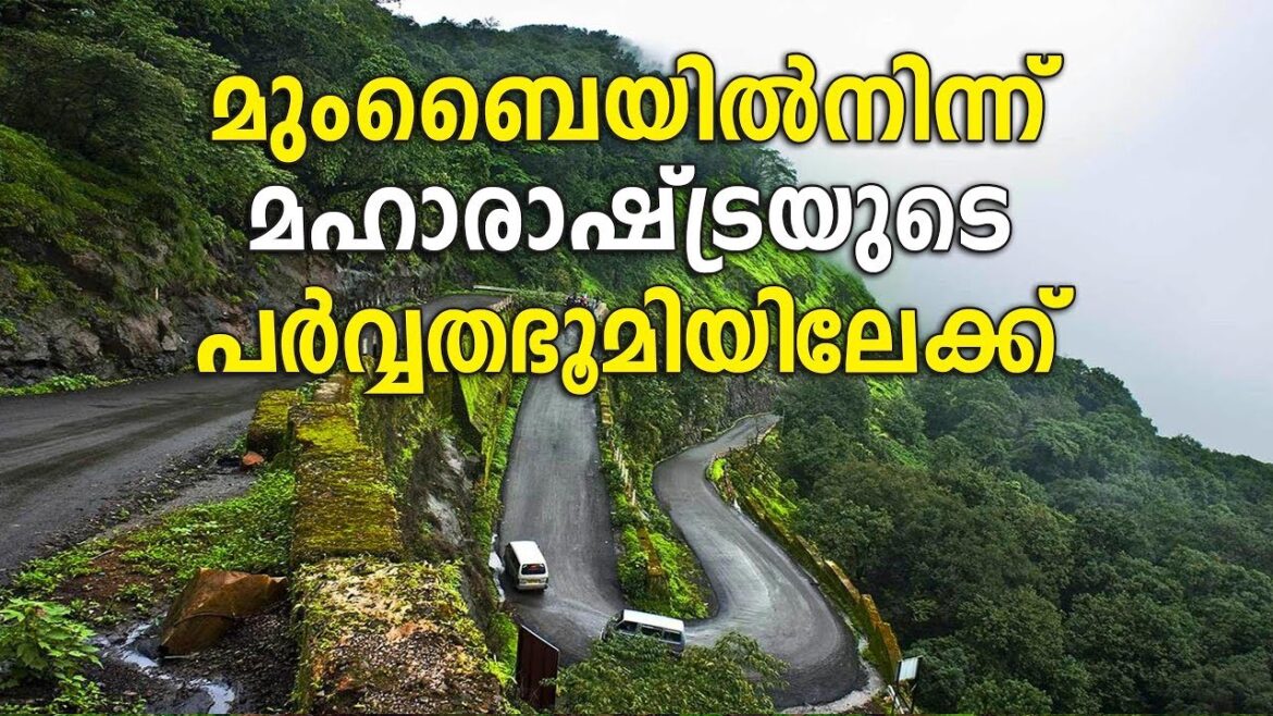 A thrilling journey to the Western Ghats in Maharashtra | Sancharam | MUMBAI 07 | Safari Tv A thrilling journey to the Western Ghats in Maharashtra | Sancharam | MUMBAI 07 | Safari Tv