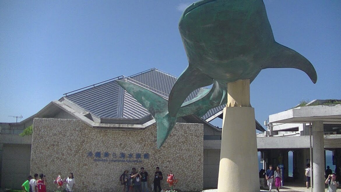 沖縄旅行　DAY2② OKINAWA TRIP