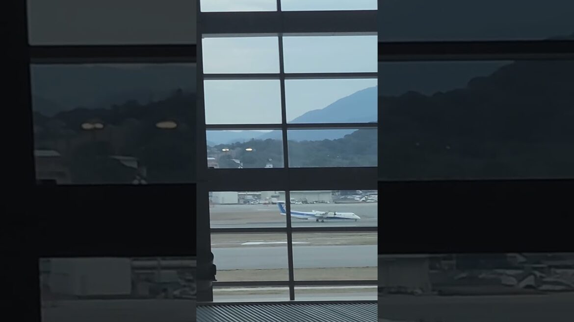 ANA with a propeller seen from Fukuoka Airport. 후쿠오카 공항에서 보는 프로펠러 달린 ANA. #전일본공수 #shorts #쇼츠