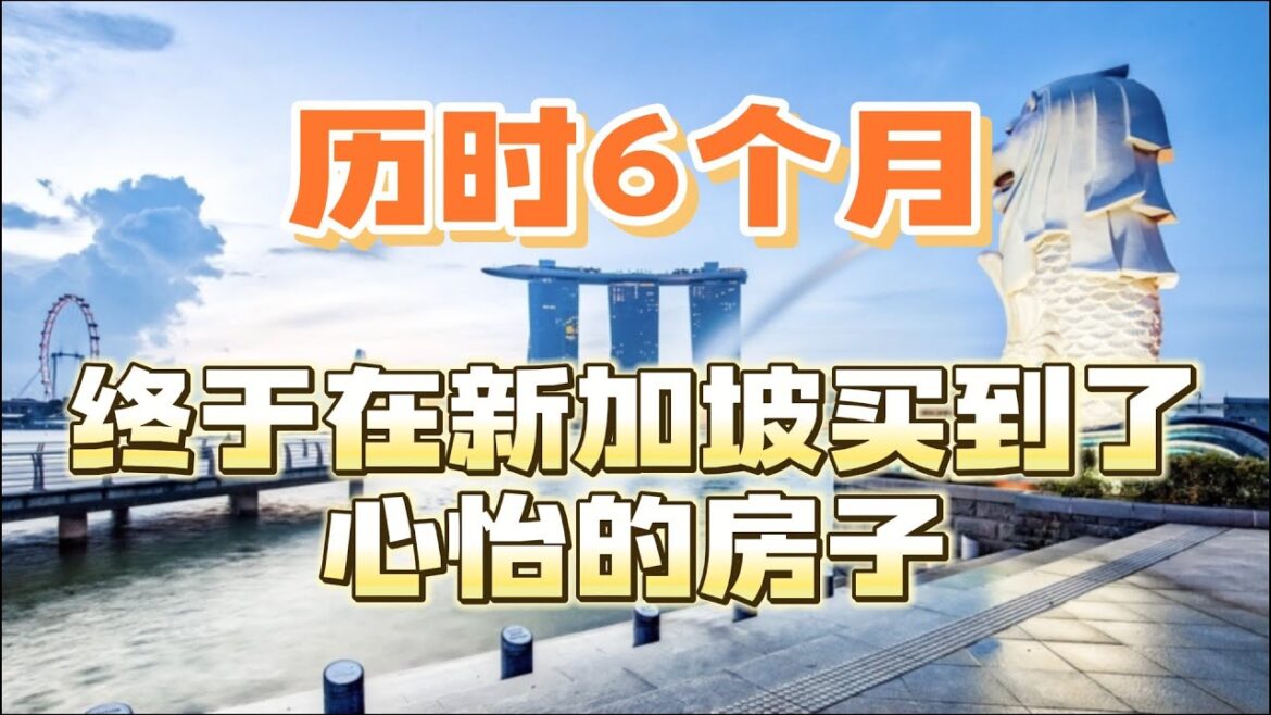 历时6个月终于在新加坡买到了心怡的HDB房子，拥有了新家，太不容易了！本视频分享6个月在新加坡买房的过程！