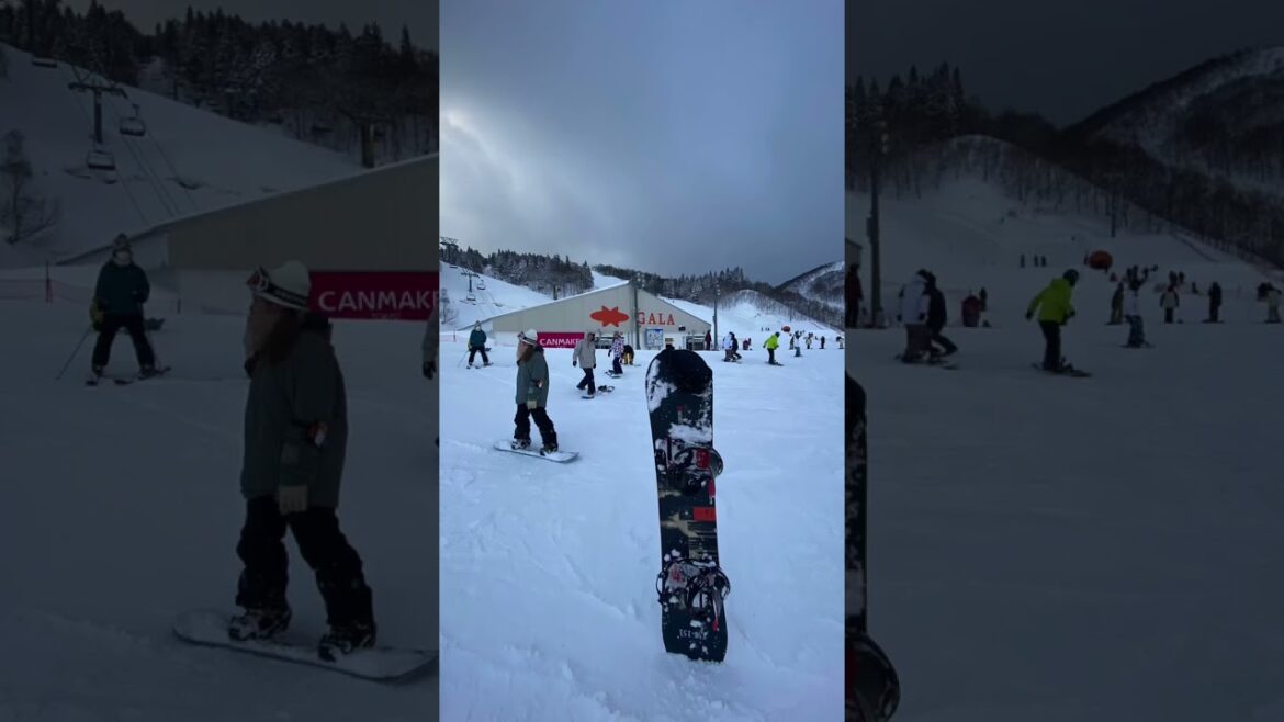 ลานสกีกาล่า Gala Yuzawa Snow Resort #gala #japan #trip #snowboard #shorts ลานสกีกาล่า Gala Yuzawa Snow Resort #gala #japan #trip #snowboard #shorts