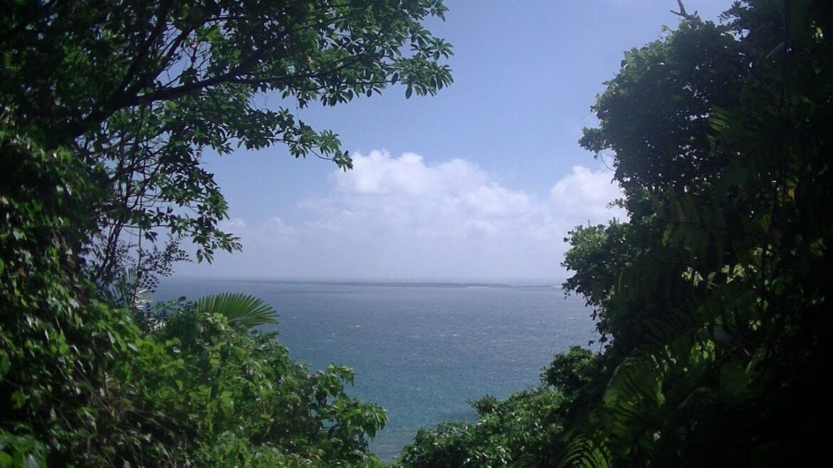 沖縄旅行　DAY３ OKINAWA TRIP