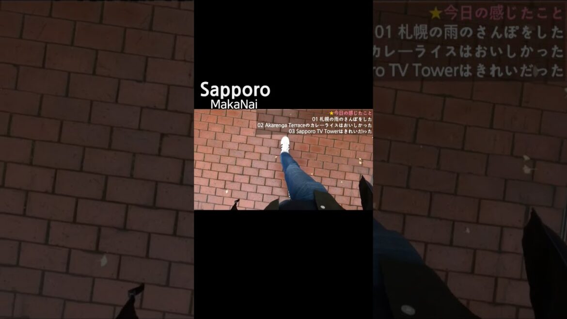 🇰🇷🇯🇵韓国人男性の札幌一人旅