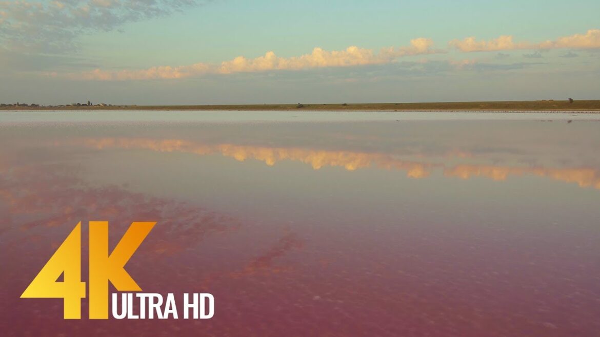 Pink Lake Ukraine in 4K UHD - World Natural Wonders - Also known as “Ukrainian Dead Sea”
