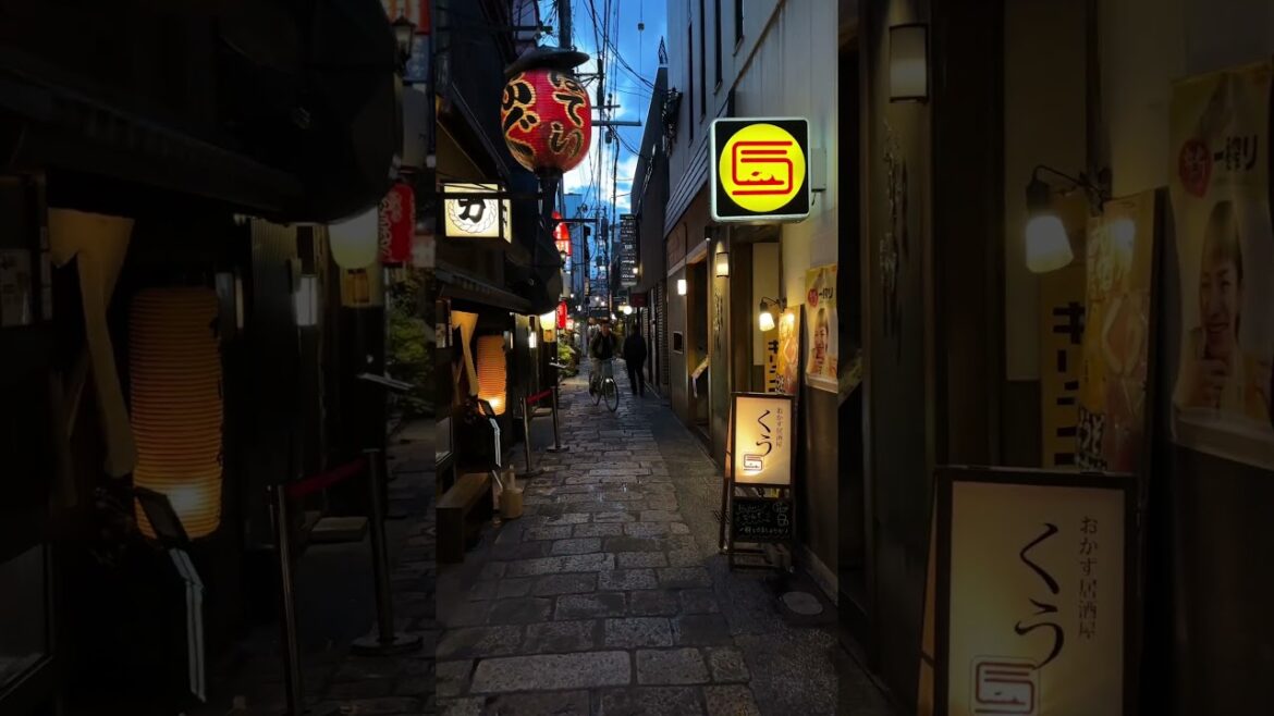 Street View of Japan. #travel #japan #osaka #explore #street #amazing #mustwatch #anime #hashira