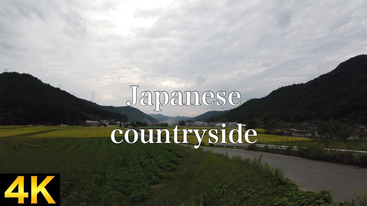 【4K】Walking tour : Japanese countryside