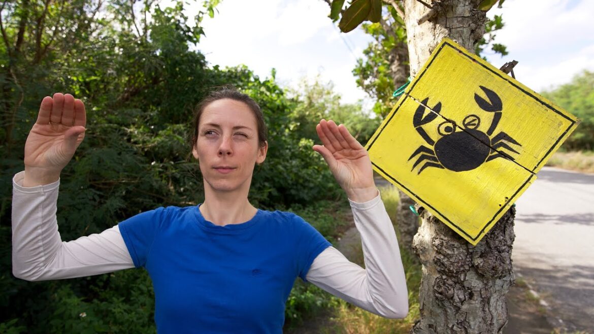 Exploring Miyako, Japan (& eating goat nards) (in Japan!) Exploring Miyako, Japan (& eating goat nards) (in Japan!)