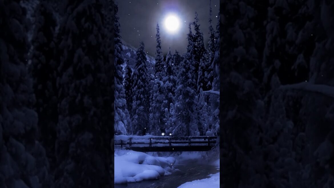 Snow Night Relax #shorts #relaxing