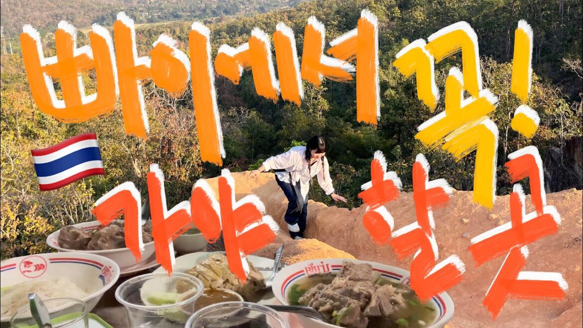 🇹🇭슬쟈네 태국 한달살기 PAI 2편 Vlog | 태국 빠이여행 | 빠이 캐니언 | 빠이 캐년 | 빠이 협곡 | 빠이 맛집 | 태국 맛집 | 제임스 국수 | 빠이 스쿠터 렌트