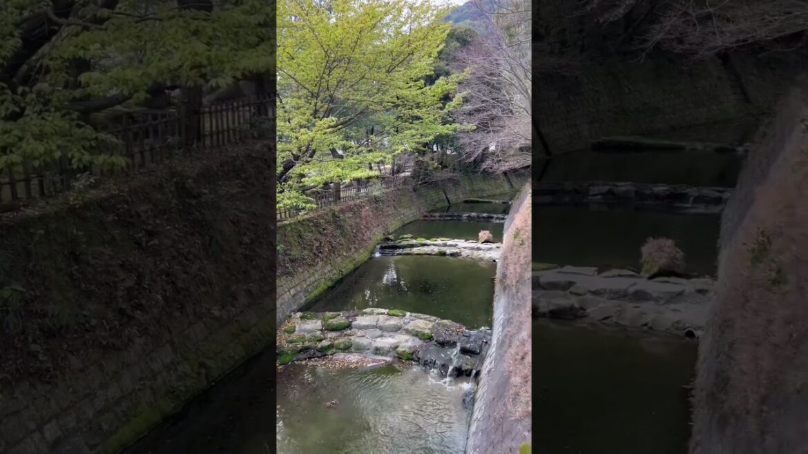 Sengan-en Gardens: The Perfect Destination for a Relaxing Getaway in Japan