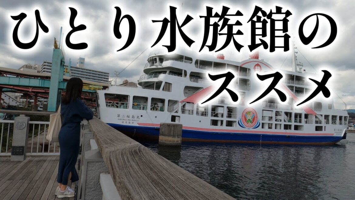 【ドキュメント 40代】妄想女子のひとり水族館のススメ|いおワールドかごしま水族館|ひとりデート 【ドキュメント 40代】妄想女子のひとり水族館のススメ|いおワールドかごしま水族館|ひとりデート
