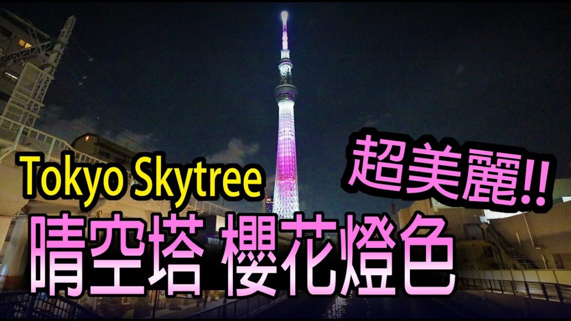 【2023 晴空塔】#015  晴空塔前的河津櫻,與03/01日開始以櫻花為主題燈色「舞」。Tokyo#003 Skytree。2023/03/04。