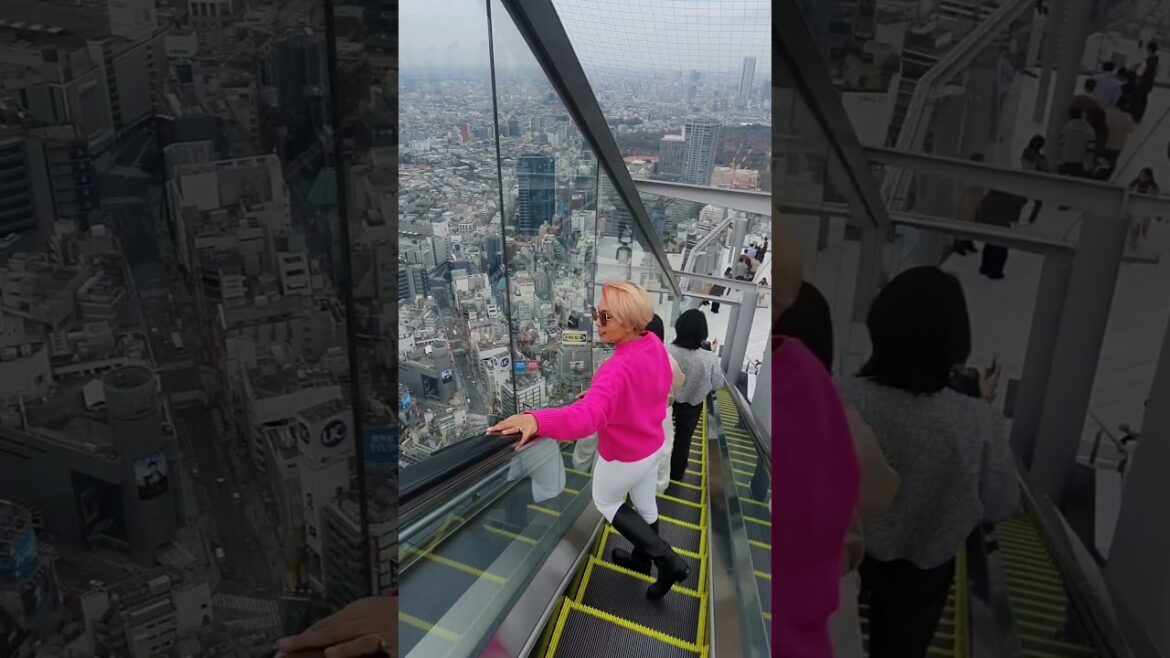 Popular Tokyo Attractions | The SHIBUYA SKY #plaplearn #travel #japan #tokyo #shibuyasky #shorts