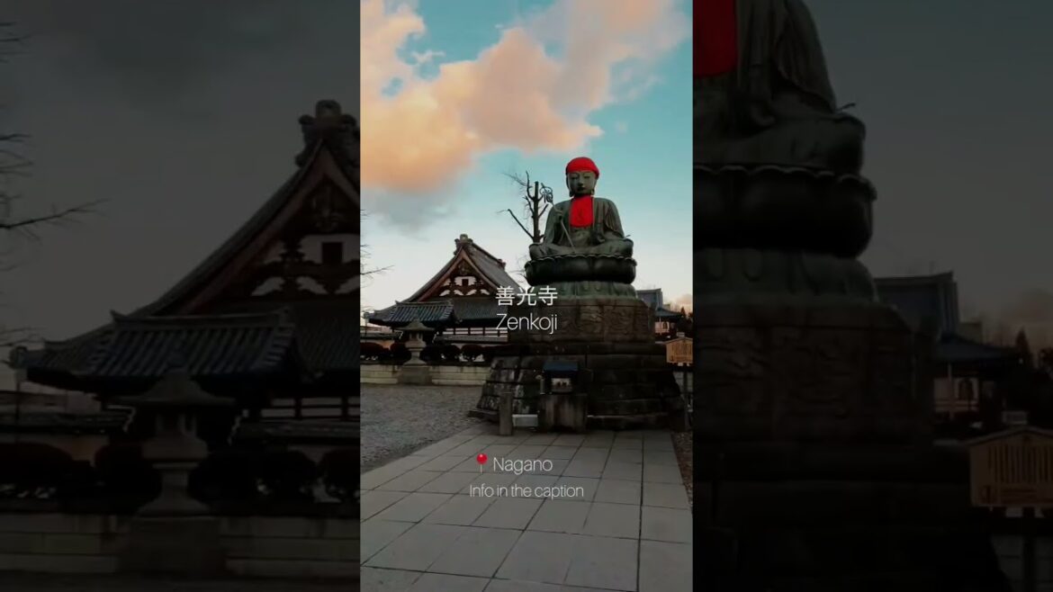 #short #japan #japaneseculture #japanese #shorts #travel #vacation #explore #globetrotter #monde