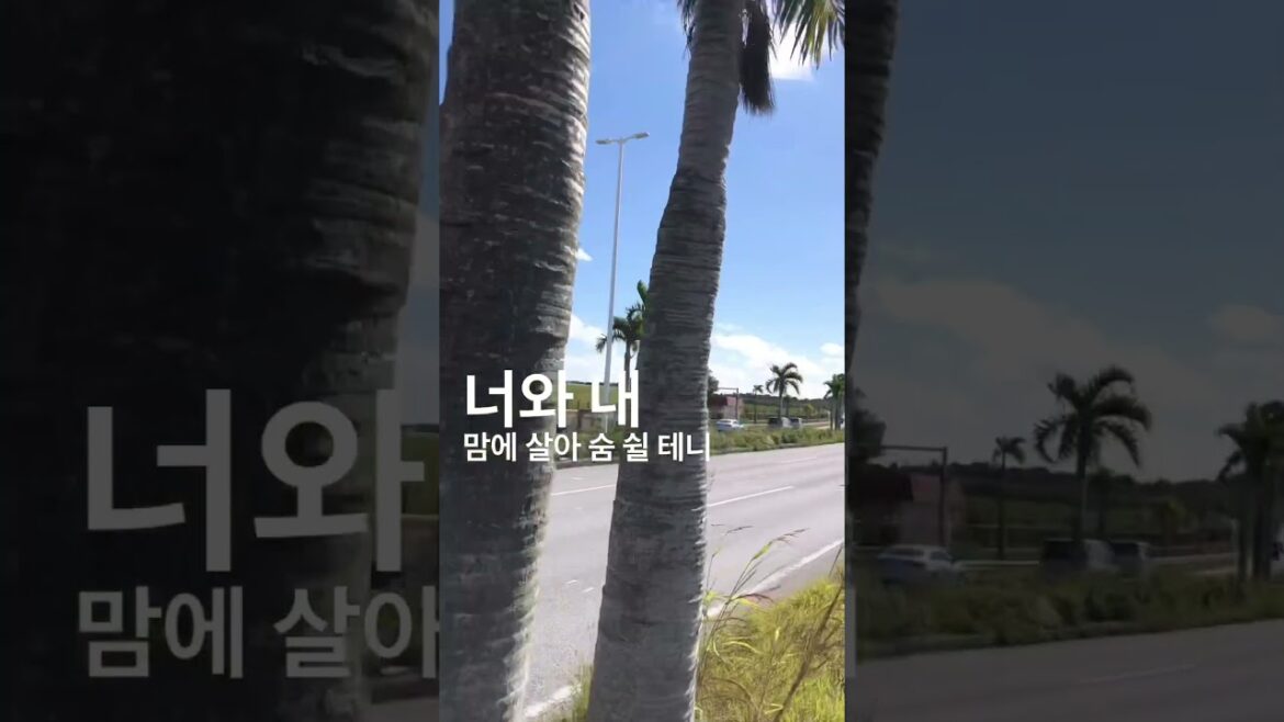 날씨 좋은날 자전거타기 #shorts #okinawa #travel