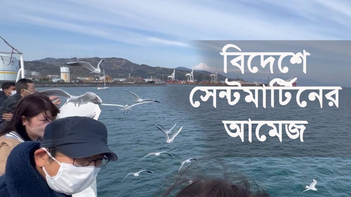 বিদেশে সেন্টমার্টিনের আমেজ ! Majestic Mt. Fuji and Seagulls বিদেশে সেন্টমার্টিনের আমেজ ! Majestic Mt. Fuji and Seagulls