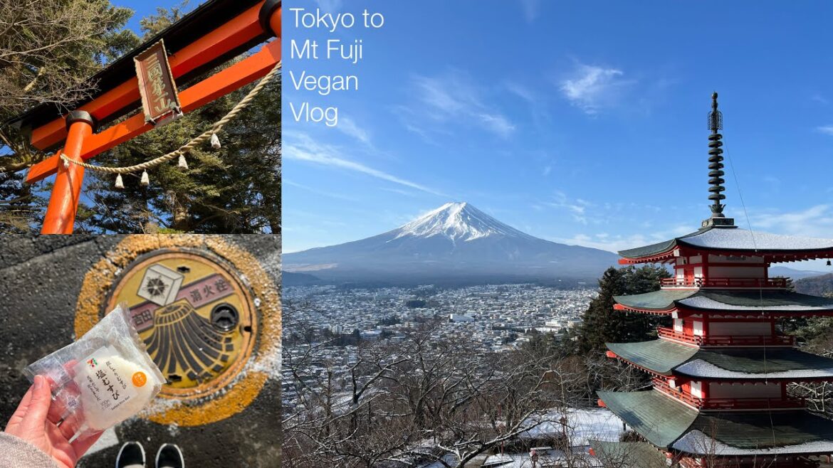 Tokyo to Mt. Fuji 🗻⛩️ & Chureito Pagoda | Japan Vegan Travel - Part 5