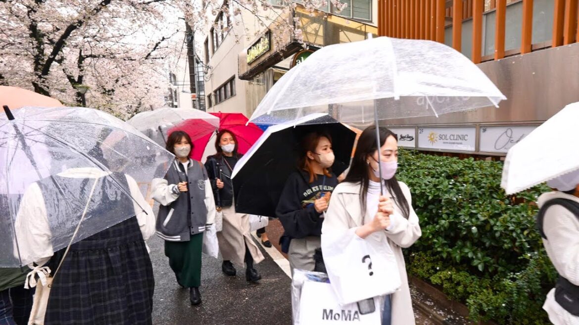 A Mesmerizing day In Tokyo Nakameguro A Mesmerizing day In Tokyo Nakameguro